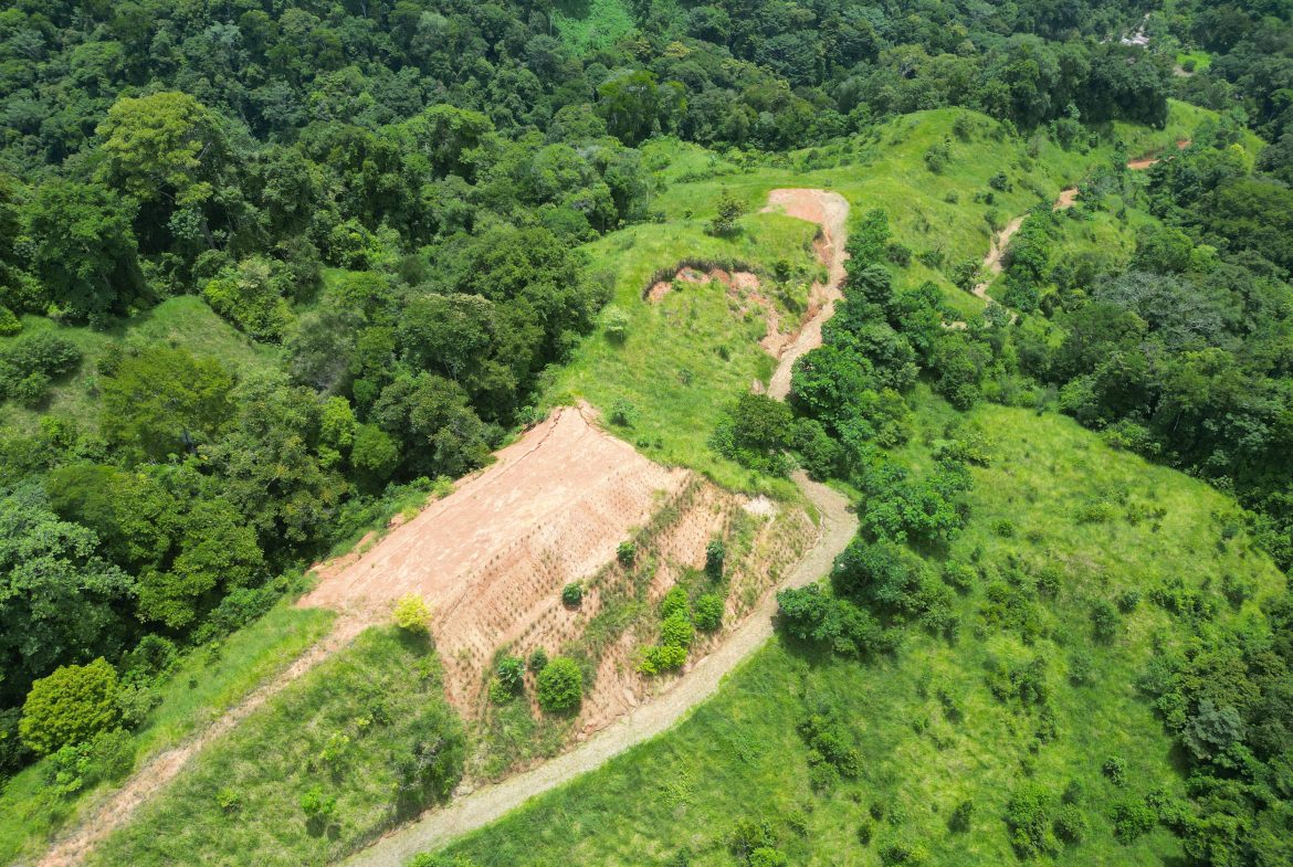 OCEAN & MOUNTAIN VIEW ESTATE WITH RIVER,CREEK, JUNGLE, PASTURE, AND DEVELOPMENT POTENTIAL NEAR DOMINICAL BEACH – 164.8-ACRE