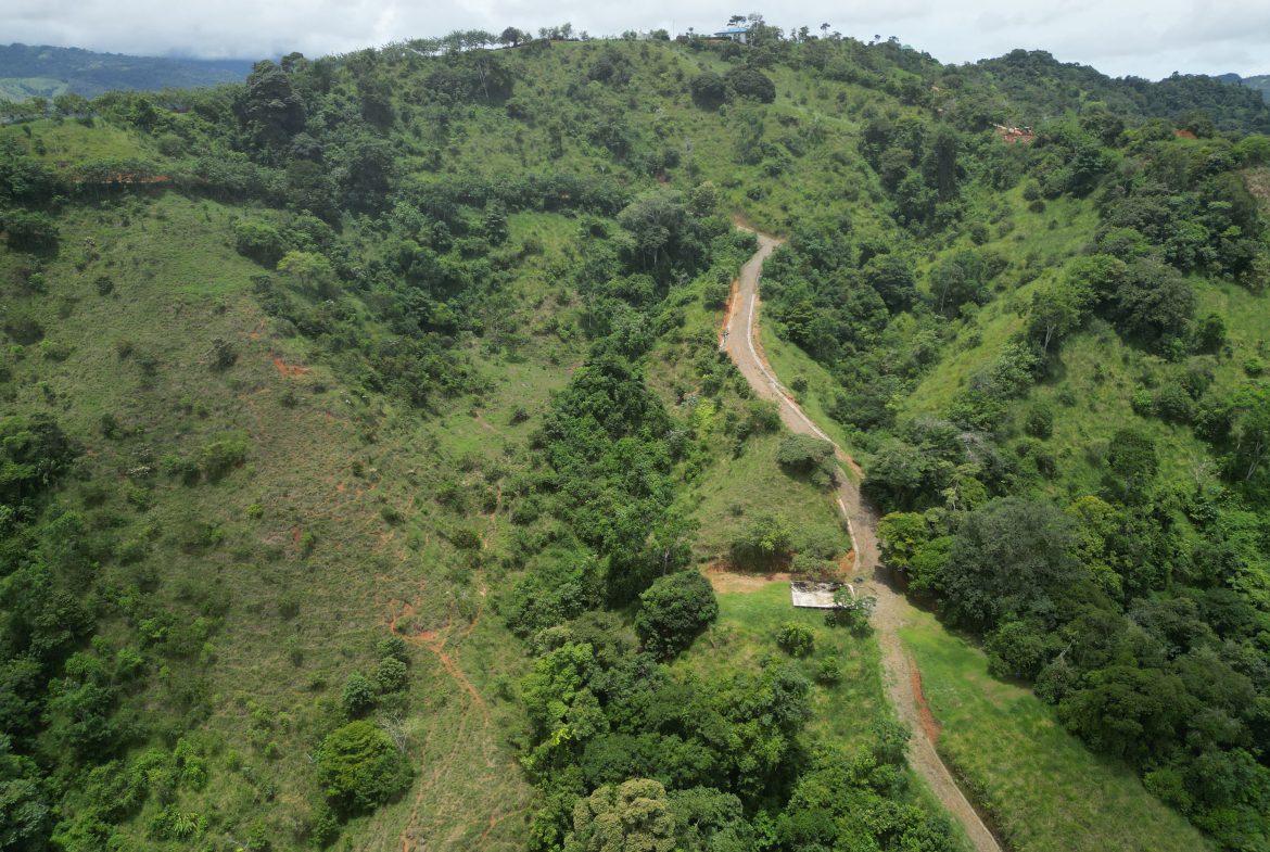 OCEAN & MOUNTAIN VIEW ESTATE WITH RIVER,CREEK, JUNGLE, PASTURE, AND DEVELOPMENT POTENTIAL NEAR DOMINICAL BEACH – 164.8-ACRE