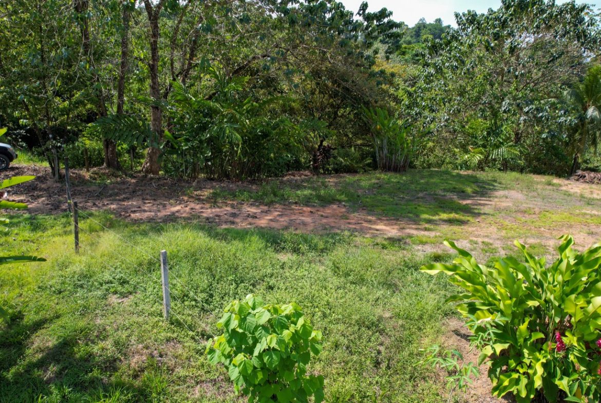 OCEAN VIEW LOT WITH EXTRA BUILDING PLANTEL