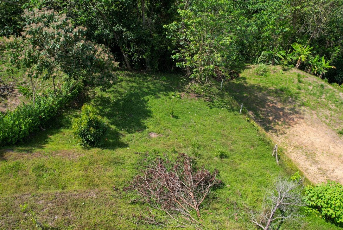 OCEAN VIEW LOT WITH EXTRA BUILDING PLANTEL
