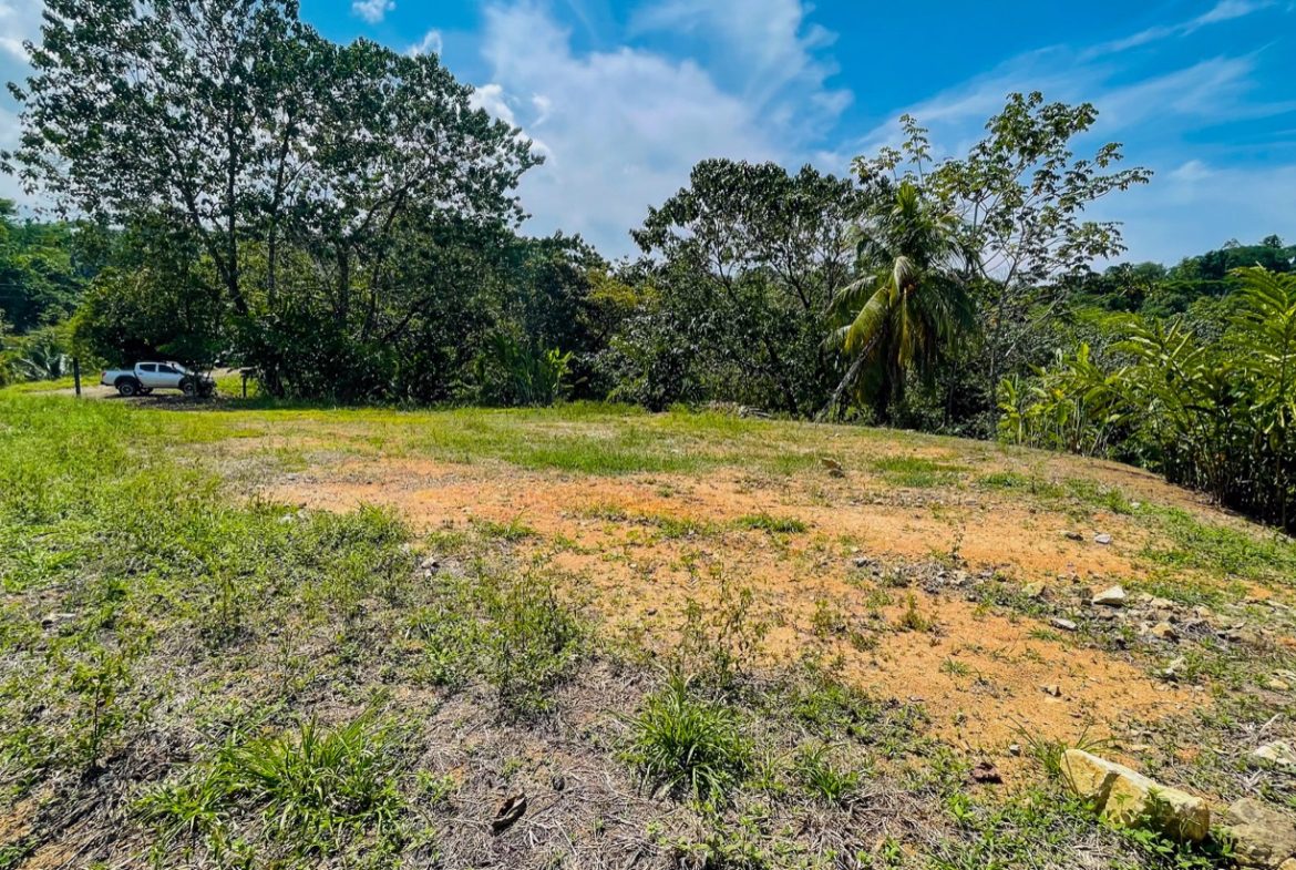 OCEAN VIEW LOT WITH EXTRA BUILDING PLANTEL