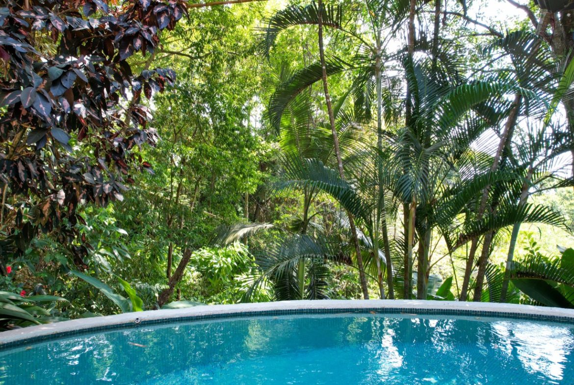JUNGLE VIEW 2 BEDROOM HOME IN DOMINICAL, Uvita, Costa Rica — photo 4