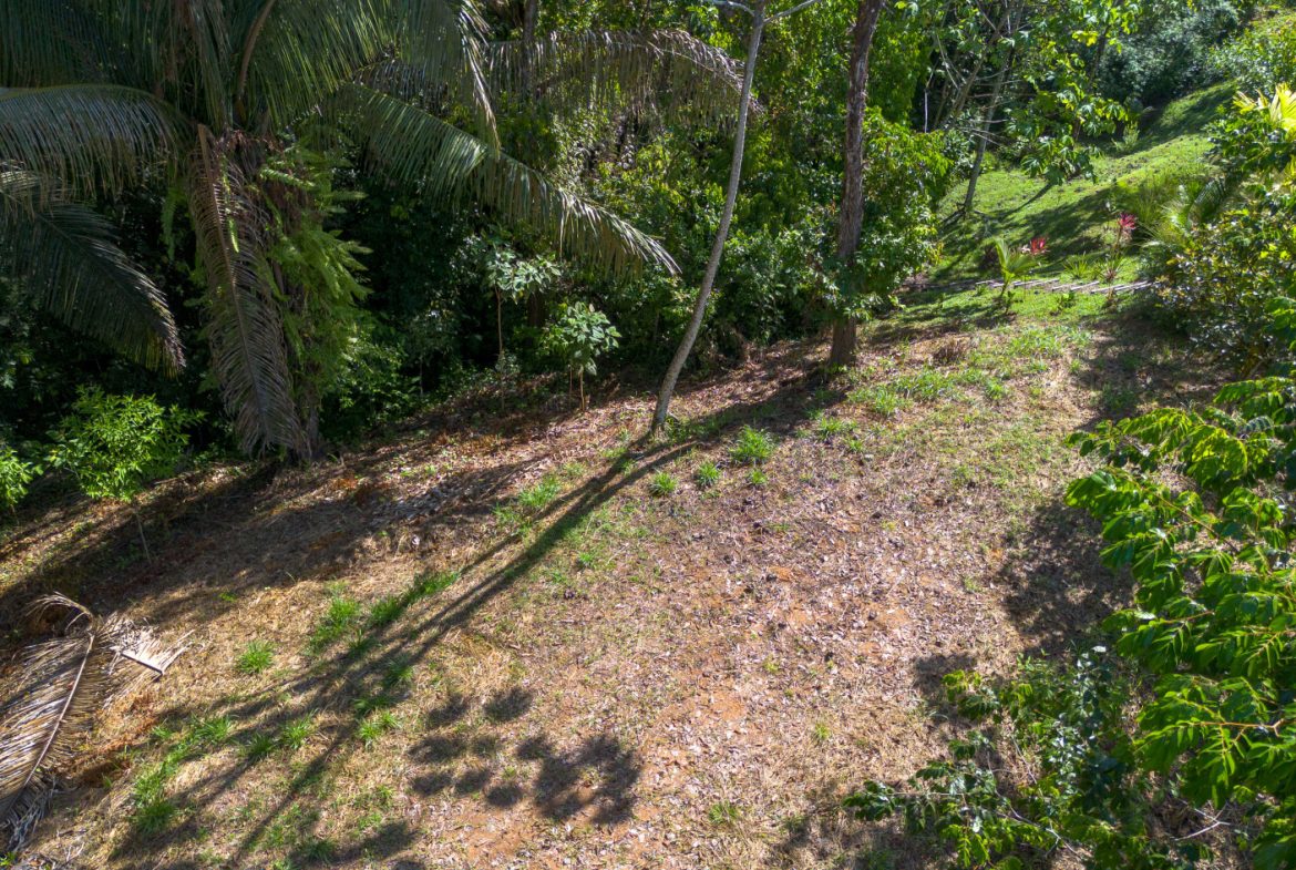 2 SIDE BY SIDE JUNGLE LOTS IN DESIDED PLAYA HERMOSA COMMUNITY – 2.5 ACRES