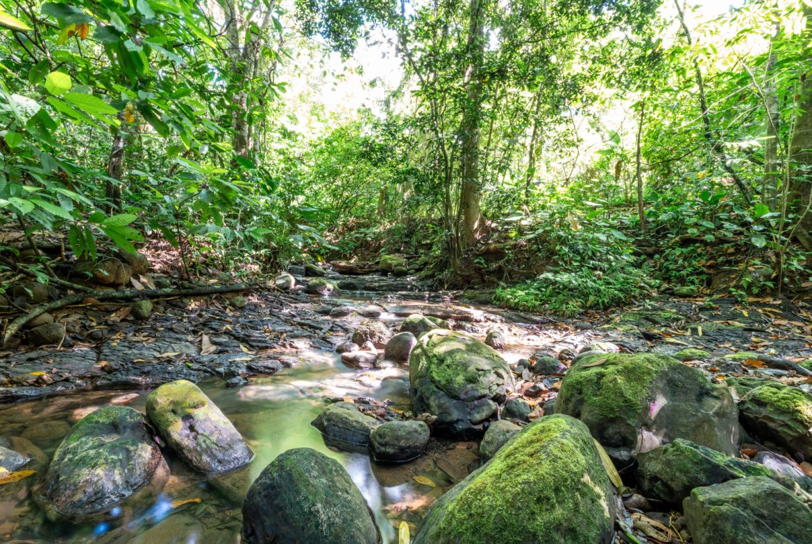 2 SIDE BY SIDE JUNGLE LOTS IN DESIDED PLAYA HERMOSA COMMUNITY – 2.5 ACRES