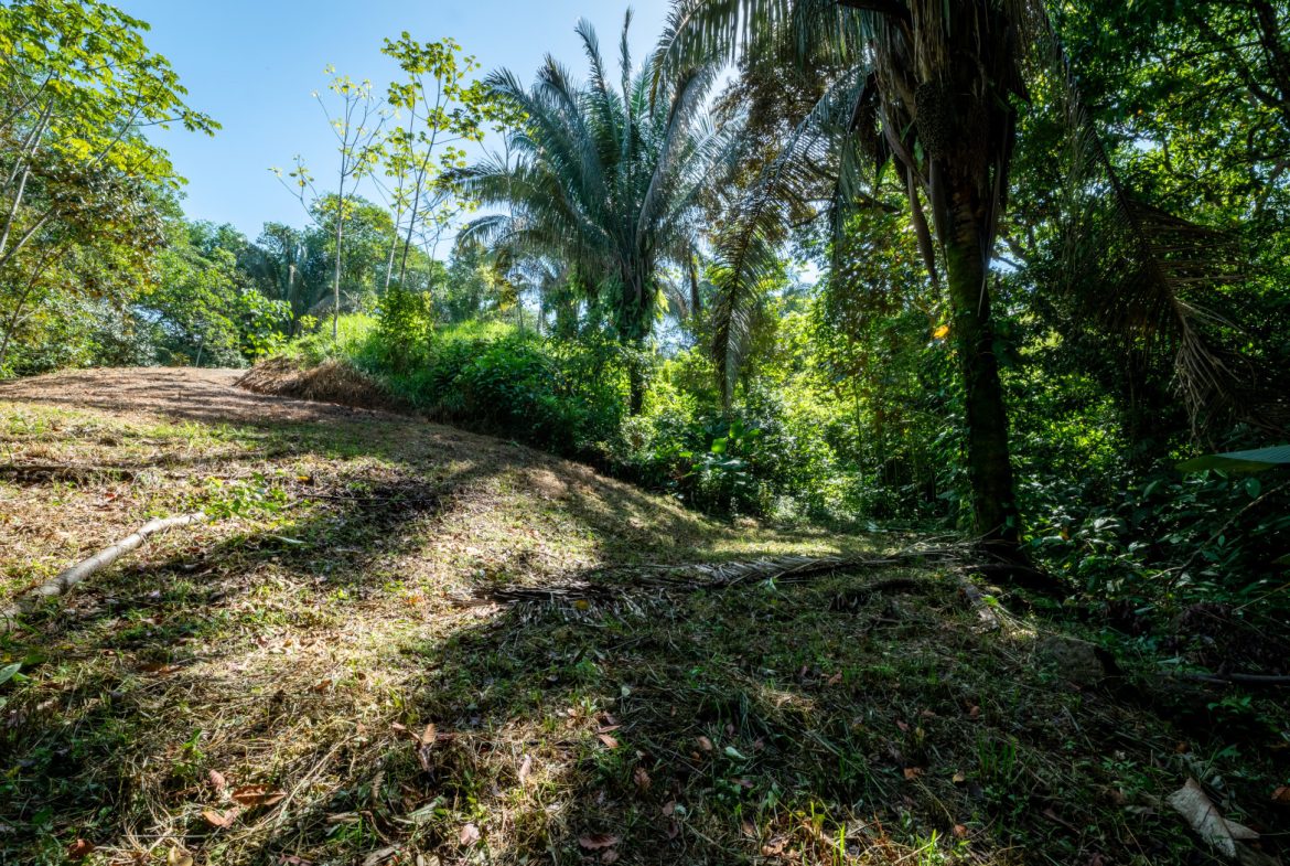 2 SIDE BY SIDE JUNGLE LOTS IN DESIDED PLAYA HERMOSA COMMUNITY – 2.5 ACRES