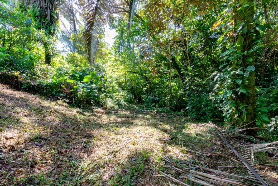 2 SIDE BY SIDE JUNGLE LOTS IN DESIDED PLAYA HERMOSA COMMUNITY – 2.5 ACRES