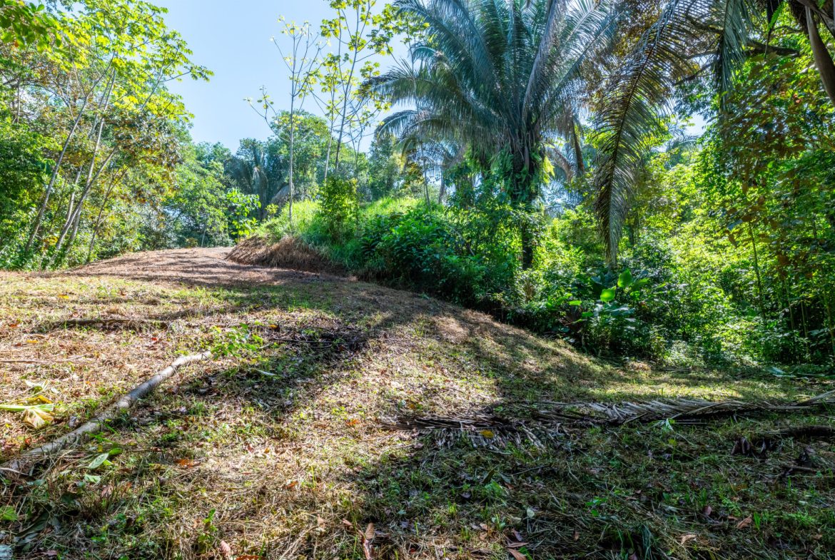 2 SIDE BY SIDE JUNGLE LOTS IN DESIDED PLAYA HERMOSA COMMUNITY – 2.5 ACRES