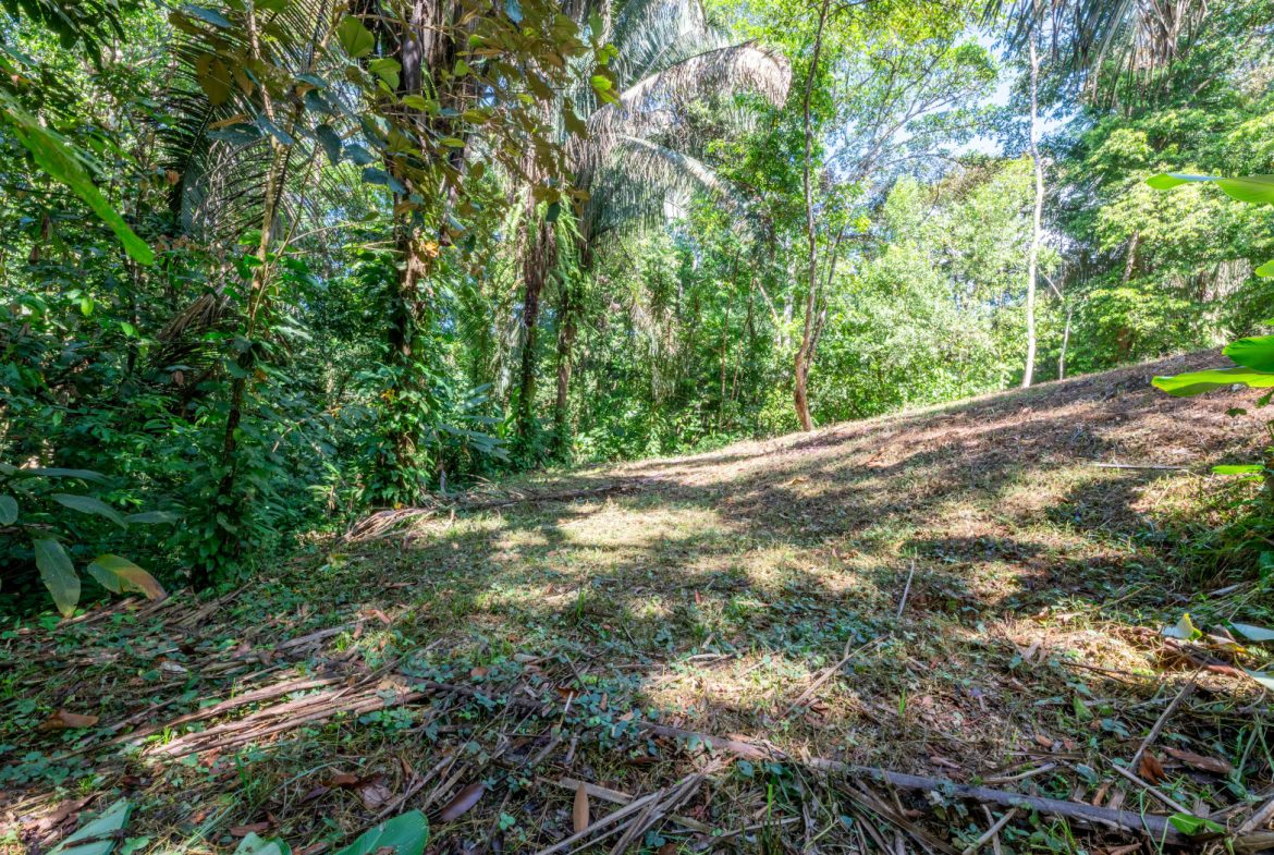 2 SIDE BY SIDE JUNGLE LOTS IN DESIDED PLAYA HERMOSA COMMUNITY – 2.5 ACRES