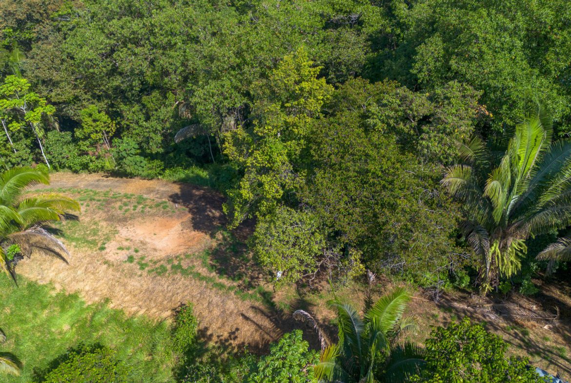 2 SIDE BY SIDE JUNGLE LOTS IN DESIDED PLAYA HERMOSA COMMUNITY – 2.5 ACRES