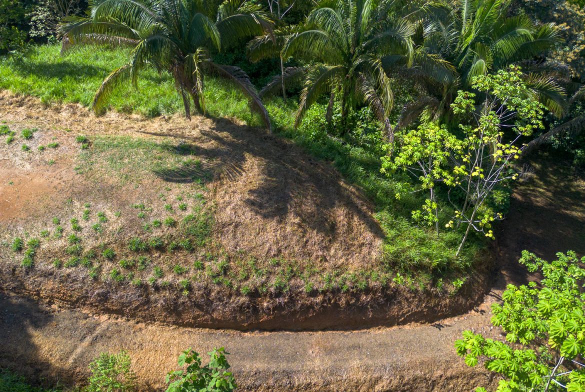 2 SIDE BY SIDE JUNGLE LOTS IN DESIDED PLAYA HERMOSA COMMUNITY – 2.5 ACRES