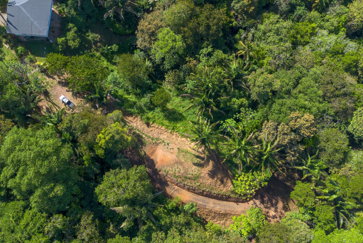 2 SIDE BY SIDE JUNGLE LOTS IN DESIDED PLAYA HERMOSA COMMUNITY – 2.5 ACRES
