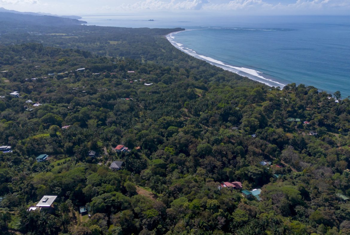 2 SIDE BY SIDE JUNGLE LOTS IN DESIDED PLAYA HERMOSA COMMUNITY – 2.5 ACRES