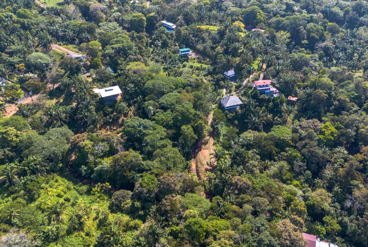 2 SIDE BY SIDE JUNGLE LOTS IN DESIDED PLAYA HERMOSA COMMUNITY – 2.5 ACRES
