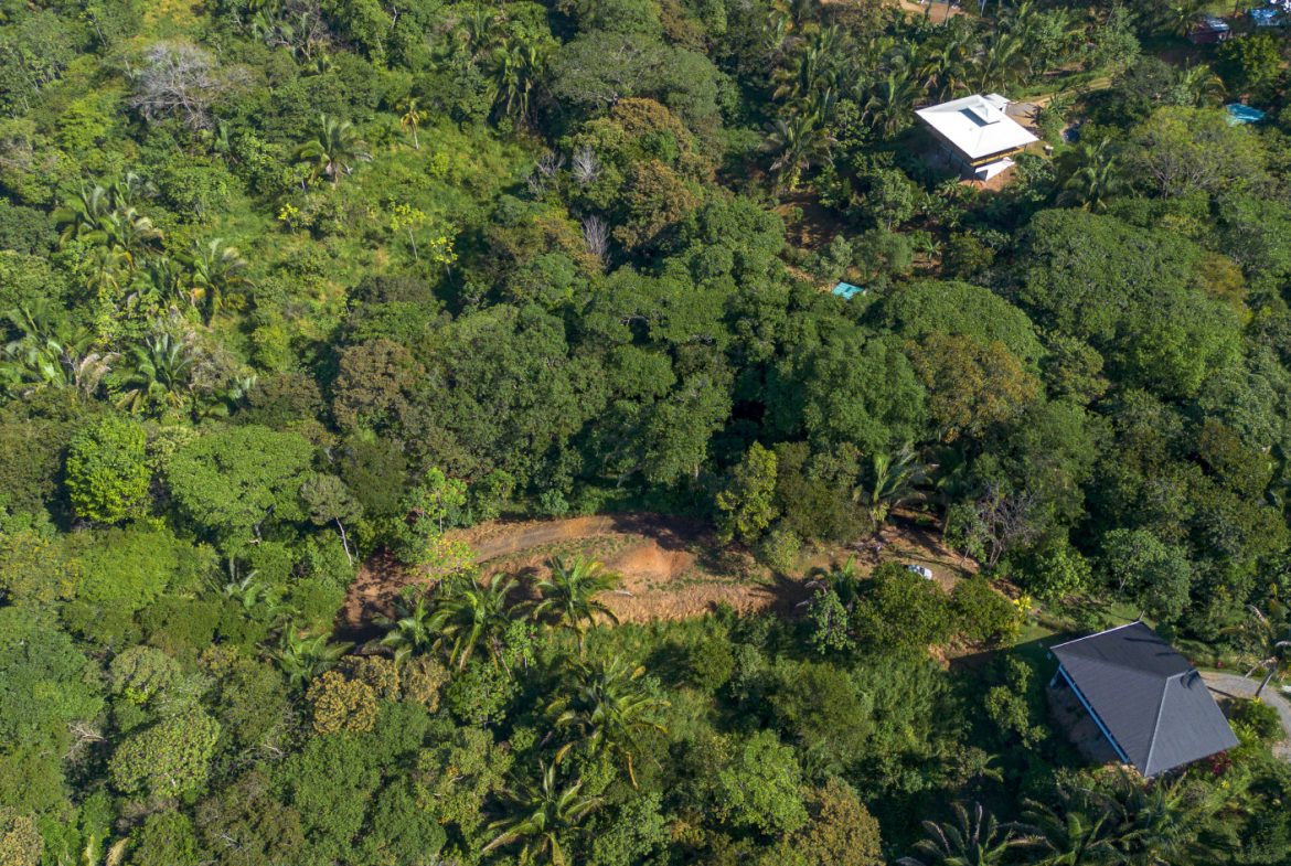 2 SIDE BY SIDE JUNGLE LOTS IN DESIDED PLAYA HERMOSA COMMUNITY – 2.5 ACRES