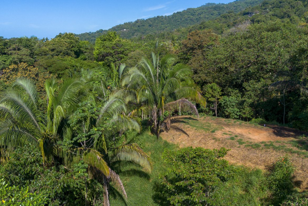 2 SIDE BY SIDE JUNGLE LOTS IN DESIDED PLAYA HERMOSA COMMUNITY – 2.5 ACRES