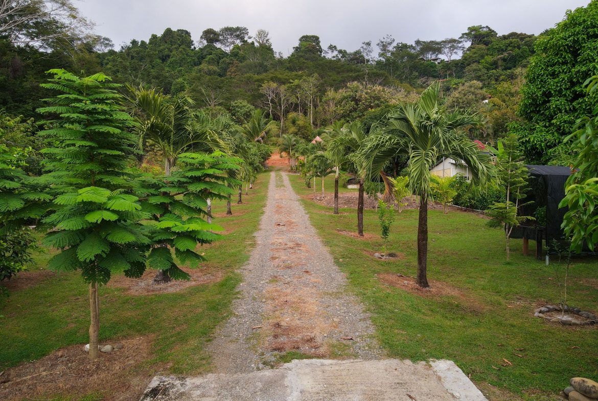 IDEAL RETIREMENT RETREAT NEAR DOMINICAL WITH INCOME POTENCIAL, Uvita, Costa Rica — photo 4