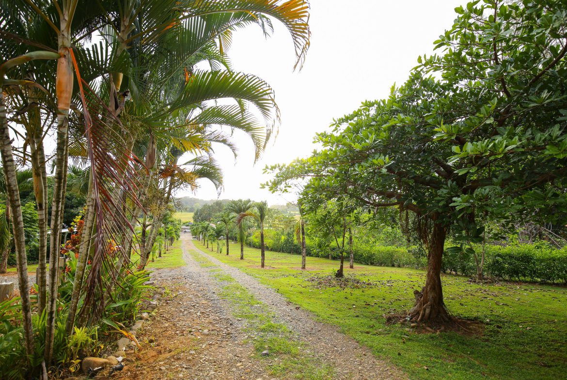IDEAL RETIREMENT RETREAT NEAR DOMINICAL WITH INCOME POTENCIAL