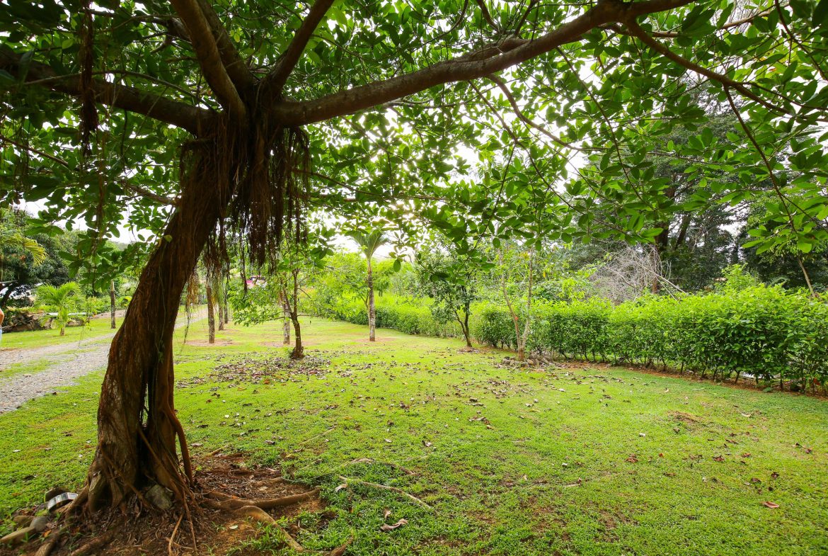 IDEAL RETIREMENT RETREAT NEAR DOMINICAL WITH INCOME POTENCIAL