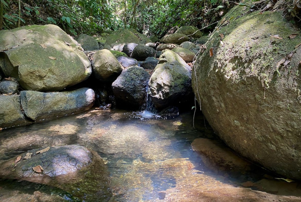 JUNGLE VIEW HOME IN PORTALON