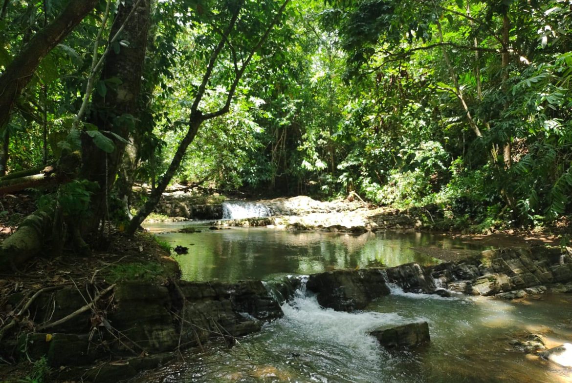VILLA SHANTI: LUXURY JUNGLE RETREAT IN OJOCHAL, COSTA RICA – 1.17 ACRES, Uvita, Costa Rica — photo 4