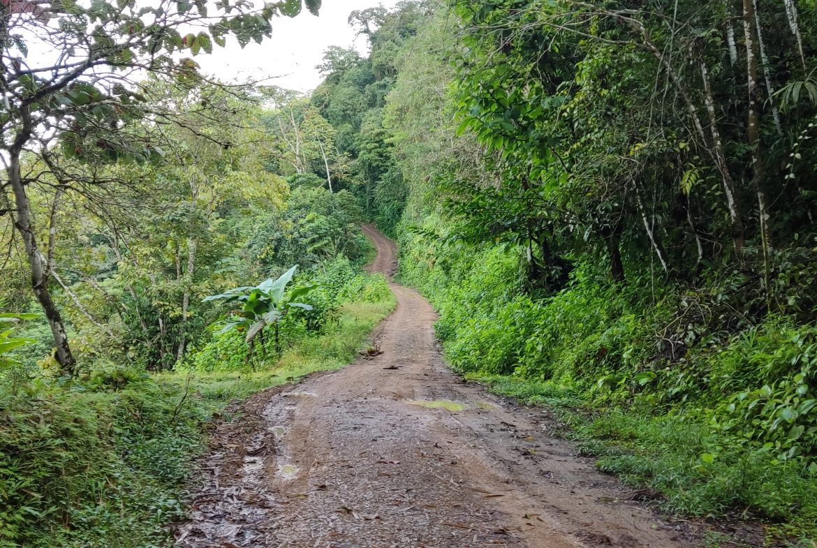 Fire Sale Under Market Value: Secluded Mountain Farm with Ocean Views – 19.28 acres