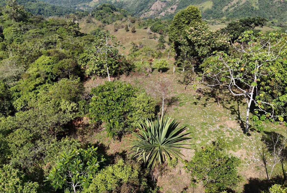 Fire Sale Under Market Value: Secluded Mountain Farm with Ocean Views – 19.28 acres