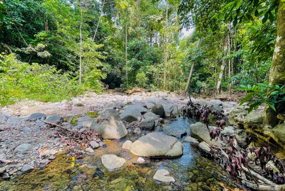 TROPICAL RIVERFRONT ESTATE IN CINCO VENTANAS – 5.65 ACRES WITH MULTIPLE HOMES, BUILD SITES & JUNGLE OASIS