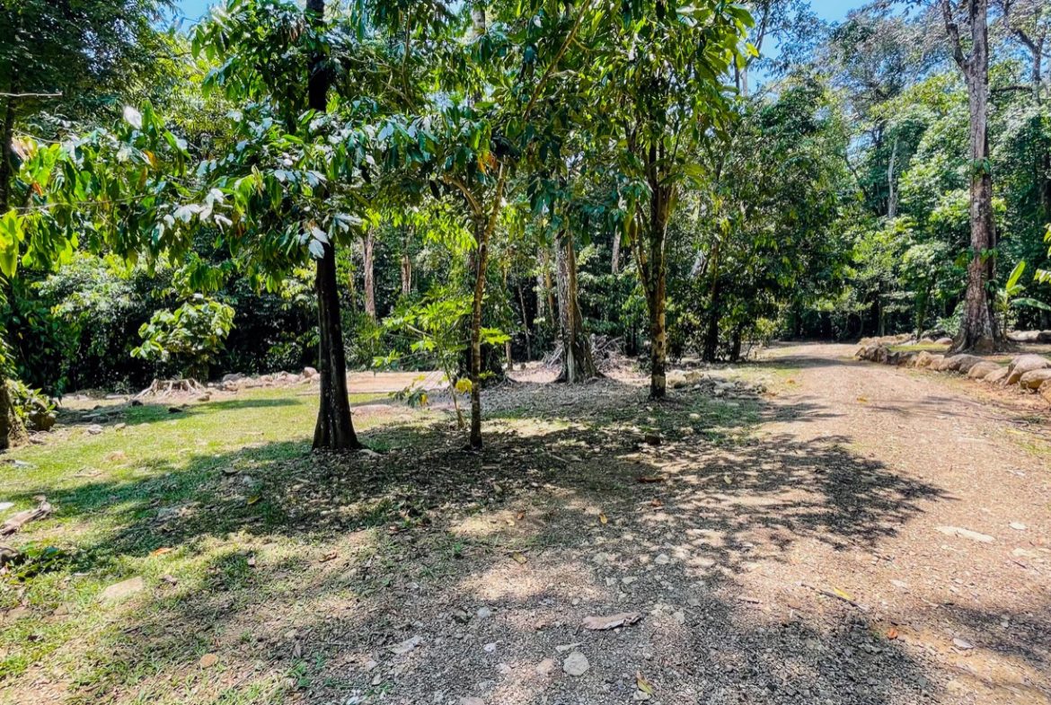 TROPICAL RIVERFRONT ESTATE IN CINCO VENTANAS – 5.65 ACRES WITH MULTIPLE HOMES, BUILD SITES & JUNGLE OASIS
