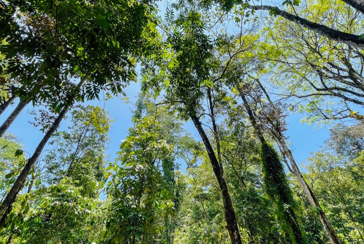 TROPICAL RIVERFRONT ESTATE IN CINCO VENTANAS – 5.65 ACRES WITH MULTIPLE HOMES, BUILD SITES & JUNGLE OASIS
