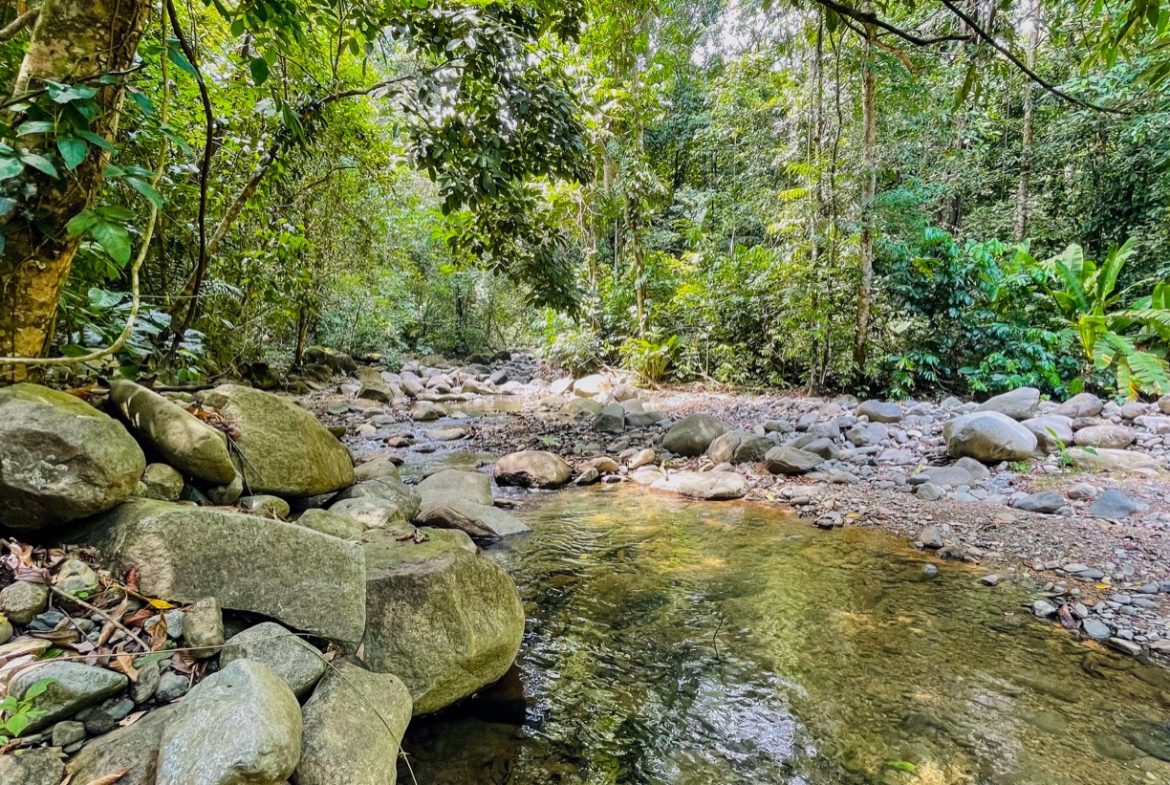 TROPICAL RIVERFRONT ESTATE IN CINCO VENTANAS – 5.65 ACRES WITH MULTIPLE HOMES, BUILD SITES & JUNGLE OASIS, Uvita, Costa Rica — photo 8