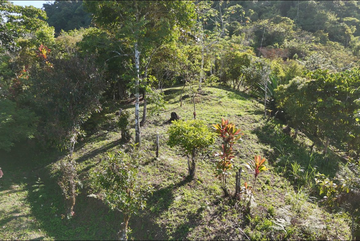 Fire Sale Under Market Value: Secluded Mountain Farm with Ocean Views – 19.28 acres