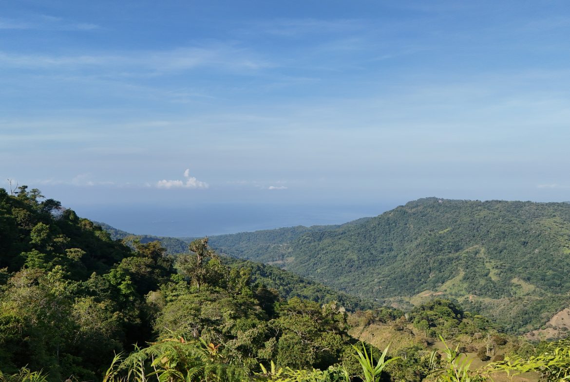 Fire Sale Under Market Value: Secluded Mountain Farm with Ocean Views – 19.28 acres