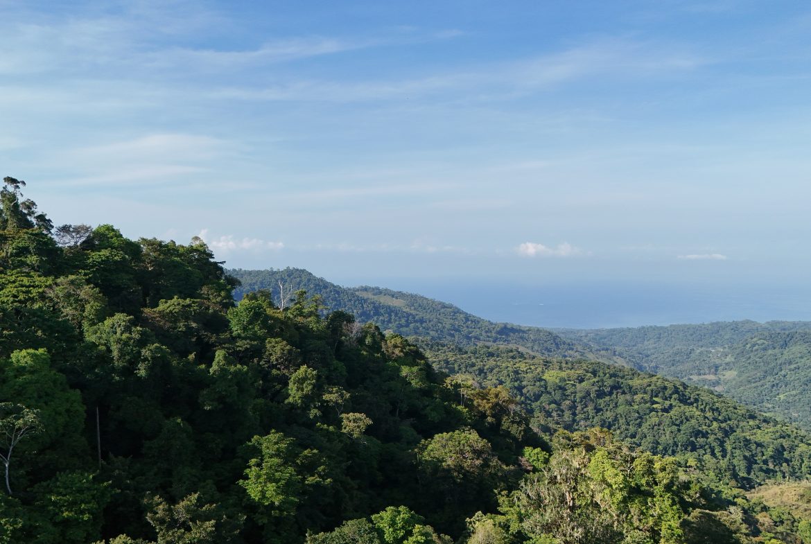 Fire Sale Under Market Value: Secluded Mountain Farm with Ocean Views – 19.28 acres