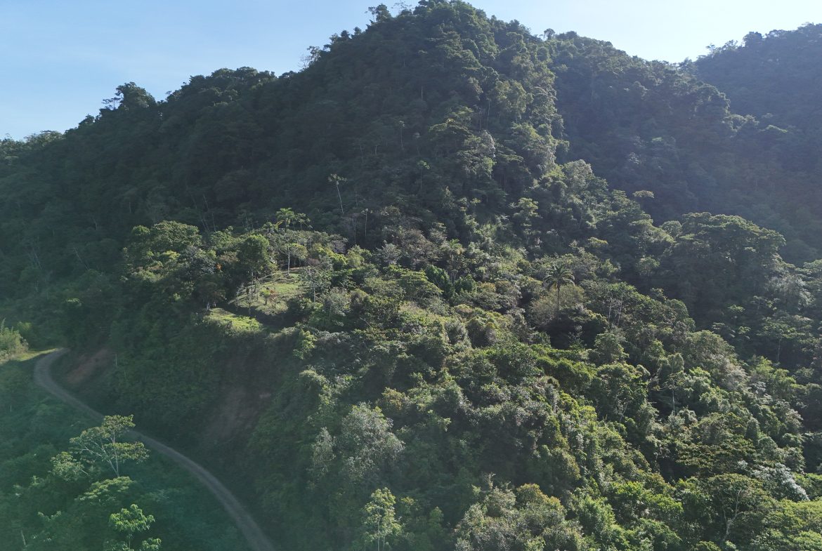 Fire Sale Under Market Value: Secluded Mountain Farm with Ocean Views – 19.28 acres