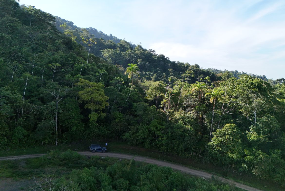Fire Sale Under Market Value: Secluded Mountain Farm with Ocean Views – 19.28 acres