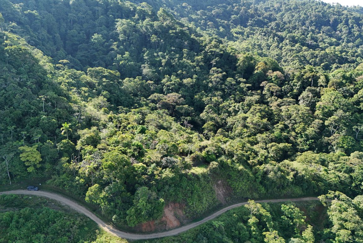 Fire Sale Under Market Value: Secluded Mountain Farm with Ocean Views – 19.28 acres