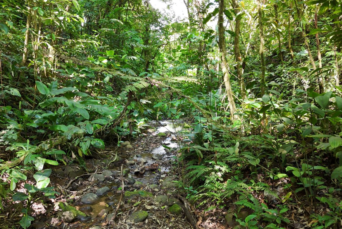 Fire Sale Under Market Value: Secluded Mountain Farm with Ocean Views – 19.28 acres