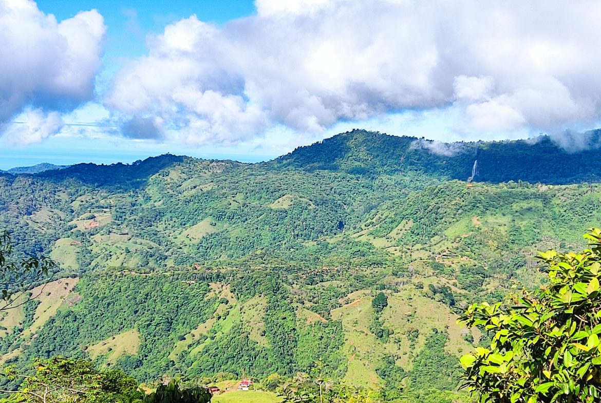 Fire Sale Under Market Value: Secluded Mountain Farm with Ocean Views – 19.28 acres