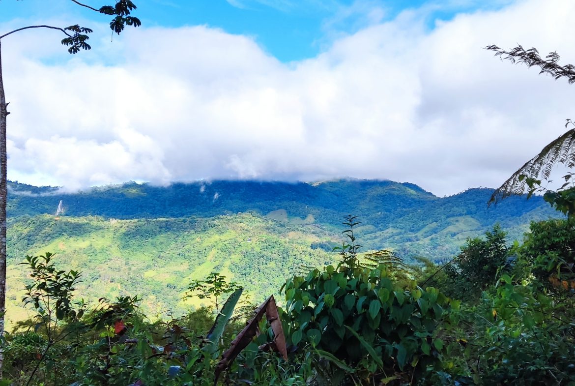 Fire Sale Under Market Value: Secluded Mountain Farm with Ocean Views – 19.28 acres