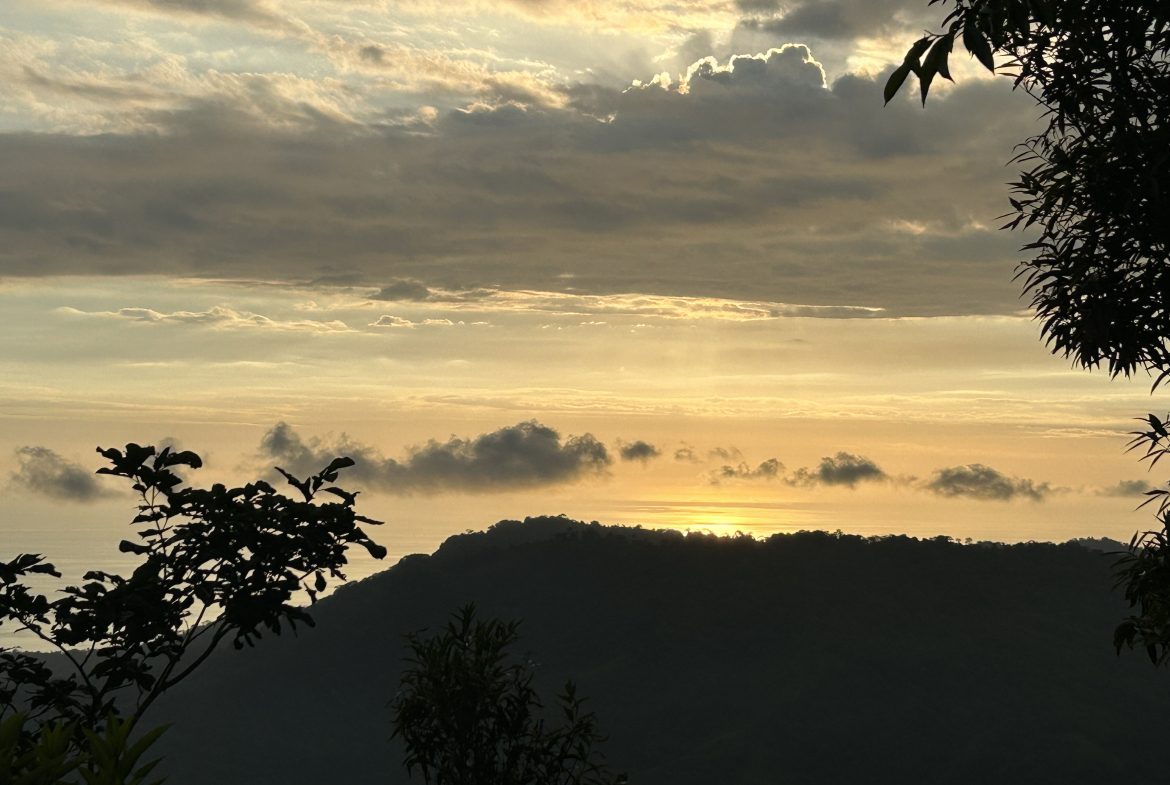 Fire Sale Under Market Value: Secluded Mountain Farm with Ocean Views – 19.28 acres