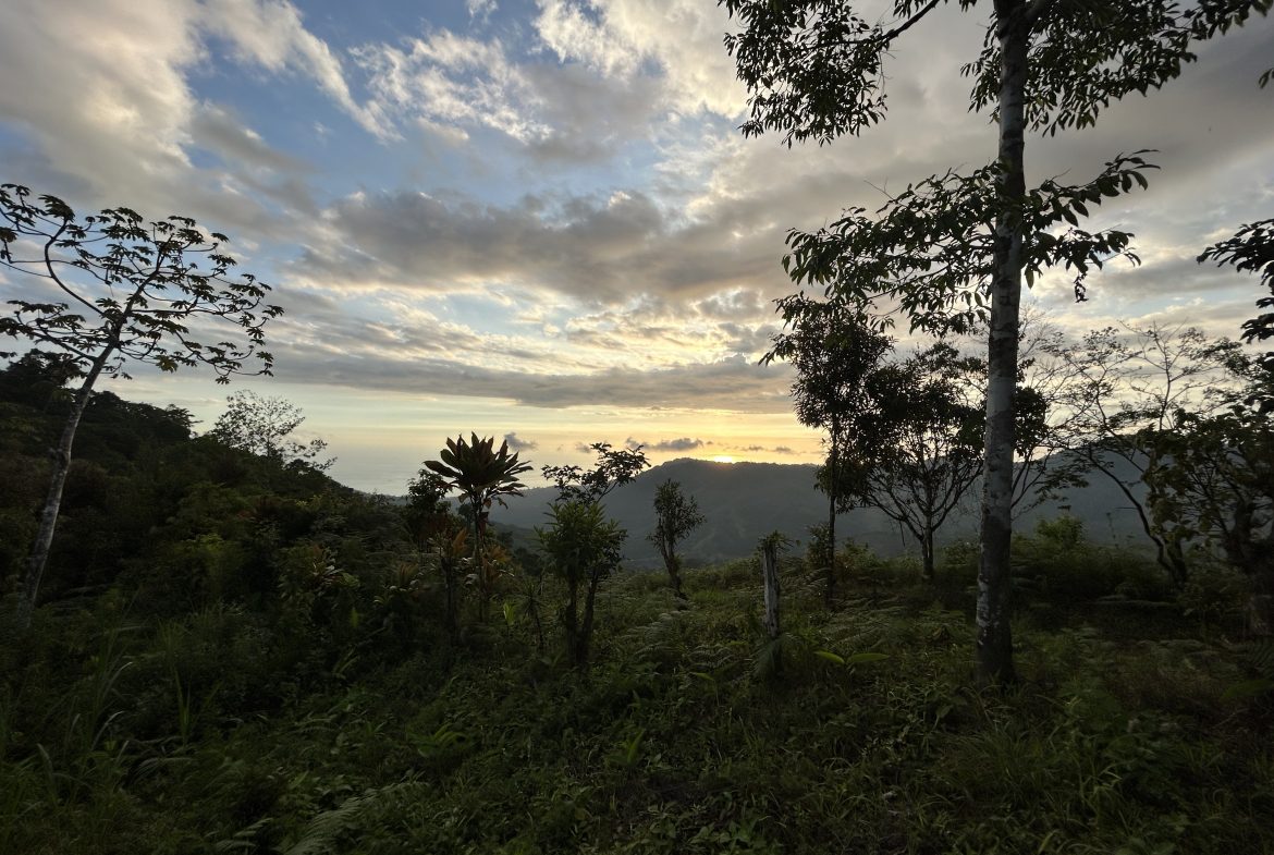 Fire Sale Under Market Value: Secluded Mountain Farm with Ocean Views – 19.28 acres