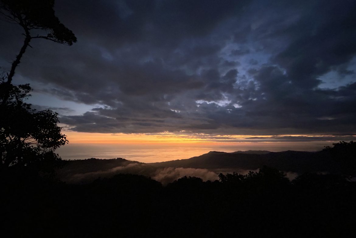 Fire Sale Under Market Value: Secluded Mountain Farm with Ocean Views – 19.28 acres