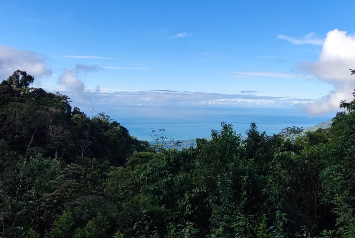 Fire Sale Under Market Value: Secluded Mountain Farm with Ocean Views – 19.28 acres