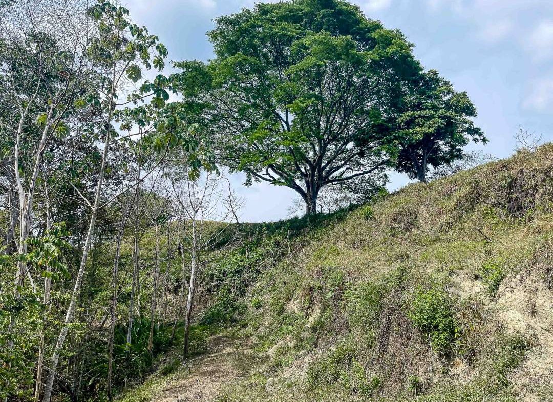 PROPERTY WITH OCEAN AND MOUNTAIN VIEWS QUEPOS – 2.0 ACRES