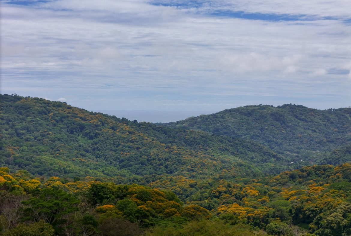 TROPICAL RETREAT IN PLATANILLO – OCEAN VIEW HOME PLUS APARTMENT IN ESTABLISHED COMMUNITY – 0.88 ACRES