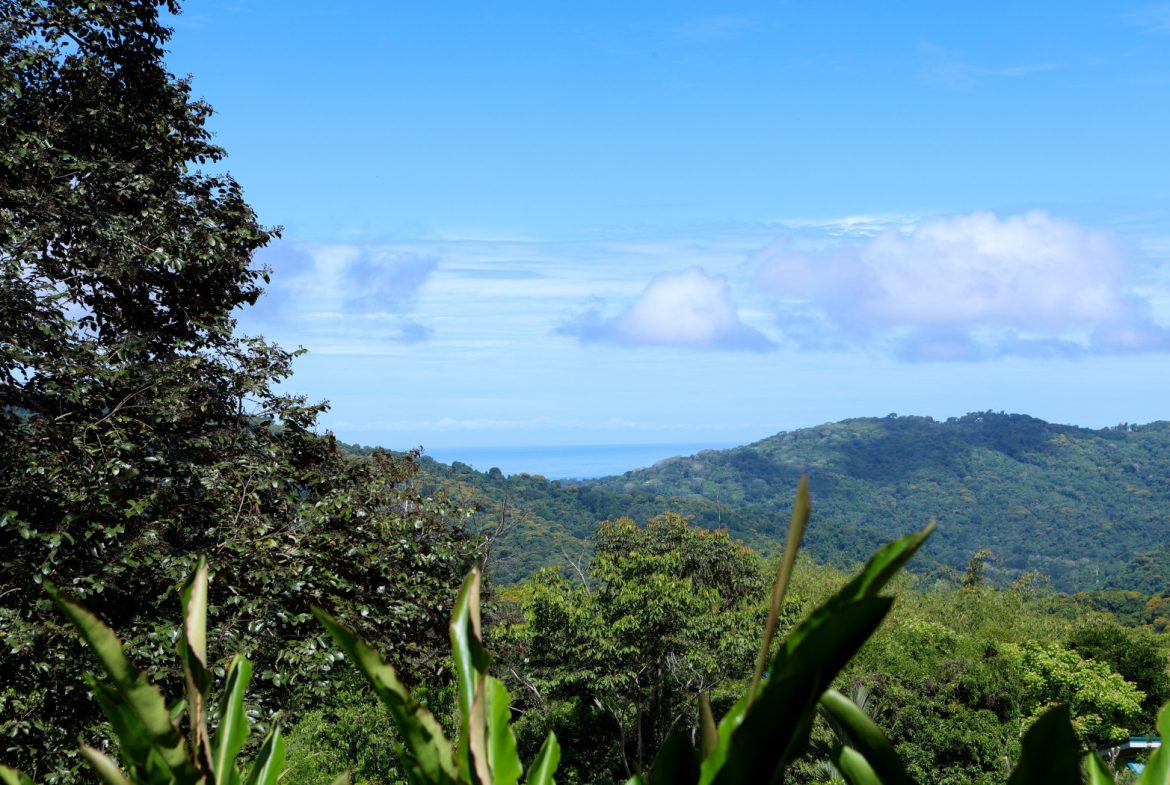 TROPICAL RETREAT IN PLATANILLO – OCEAN VIEW HOME PLUS APARTMENT IN ESTABLISHED COMMUNITY – 0.88 ACRES, Uvita, Costa Rica — photo 5