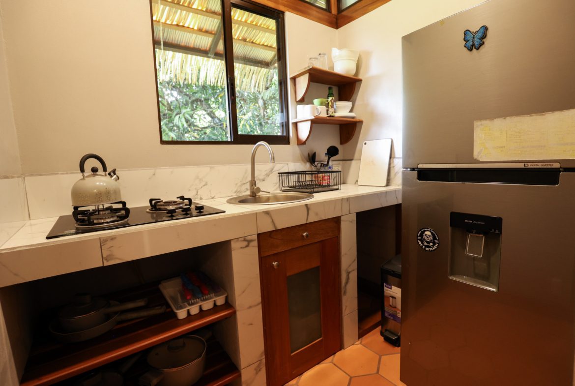 TROPICAL RETREAT IN PLATANILLO – OCEAN VIEW HOME PLUS APARTMENT IN ESTABLISHED COMMUNITY – 0.88 ACRES