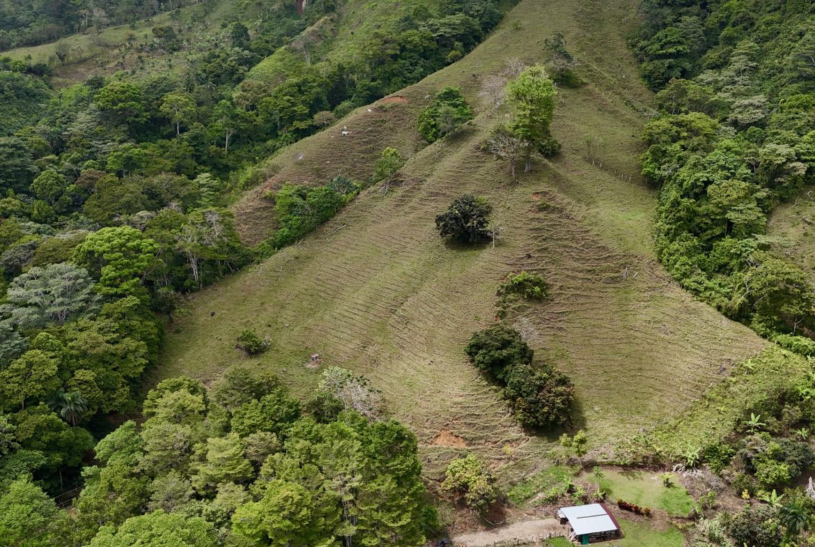 NATURAL PARADISE IN MORETE, UVITA – 17.2 ACRES WITH OCEAN & MOUNTAIN VIEWS