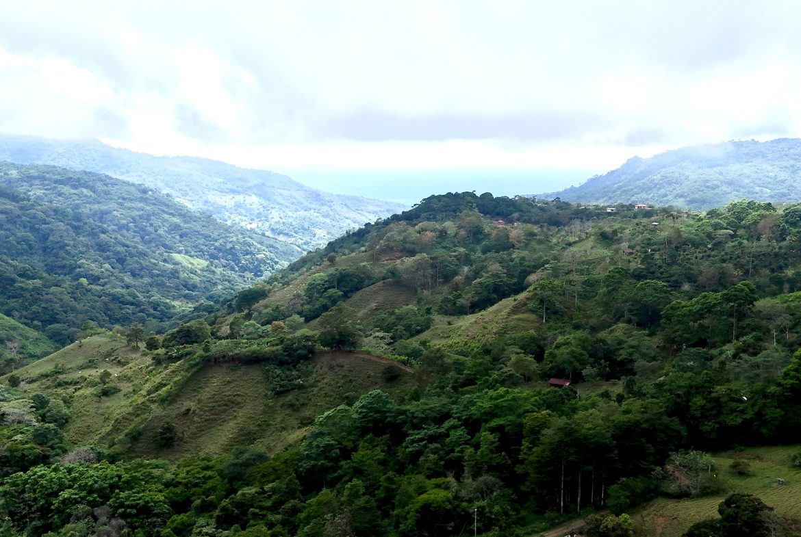NATURAL PARADISE IN MORETE, UVITA – 17.2 ACRES WITH OCEAN & MOUNTAIN VIEWS