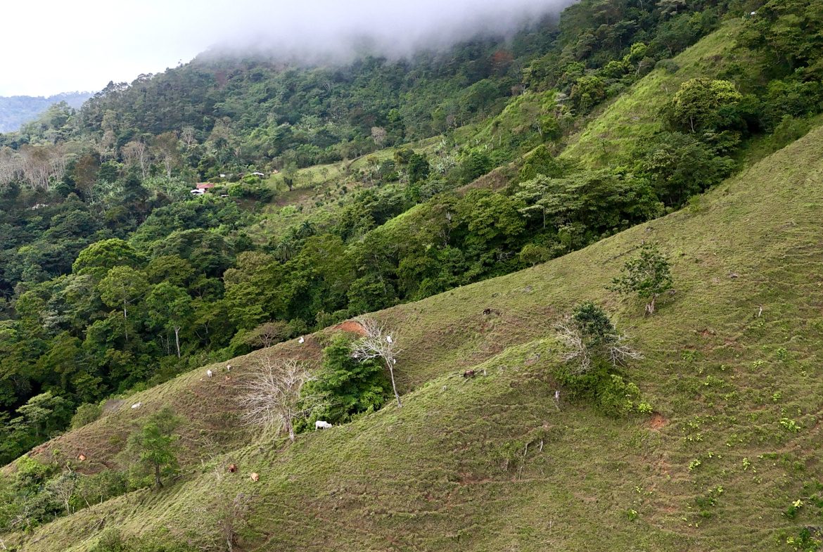 NATURAL PARADISE IN MORETE, UVITA – 17.2 ACRES WITH OCEAN & MOUNTAIN VIEWS